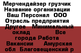 Мерчендайзер-грузчик › Название организации ­ Ваш Персонал, ООО › Отрасль предприятия ­ Другое › Минимальный оклад ­ 40 000 - Все города Работа » Вакансии   . Амурская обл.,Благовещенский р-н